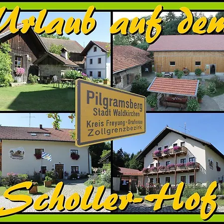 Schollerhof 农家乐 *